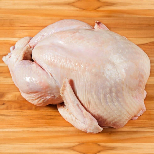 Poultry